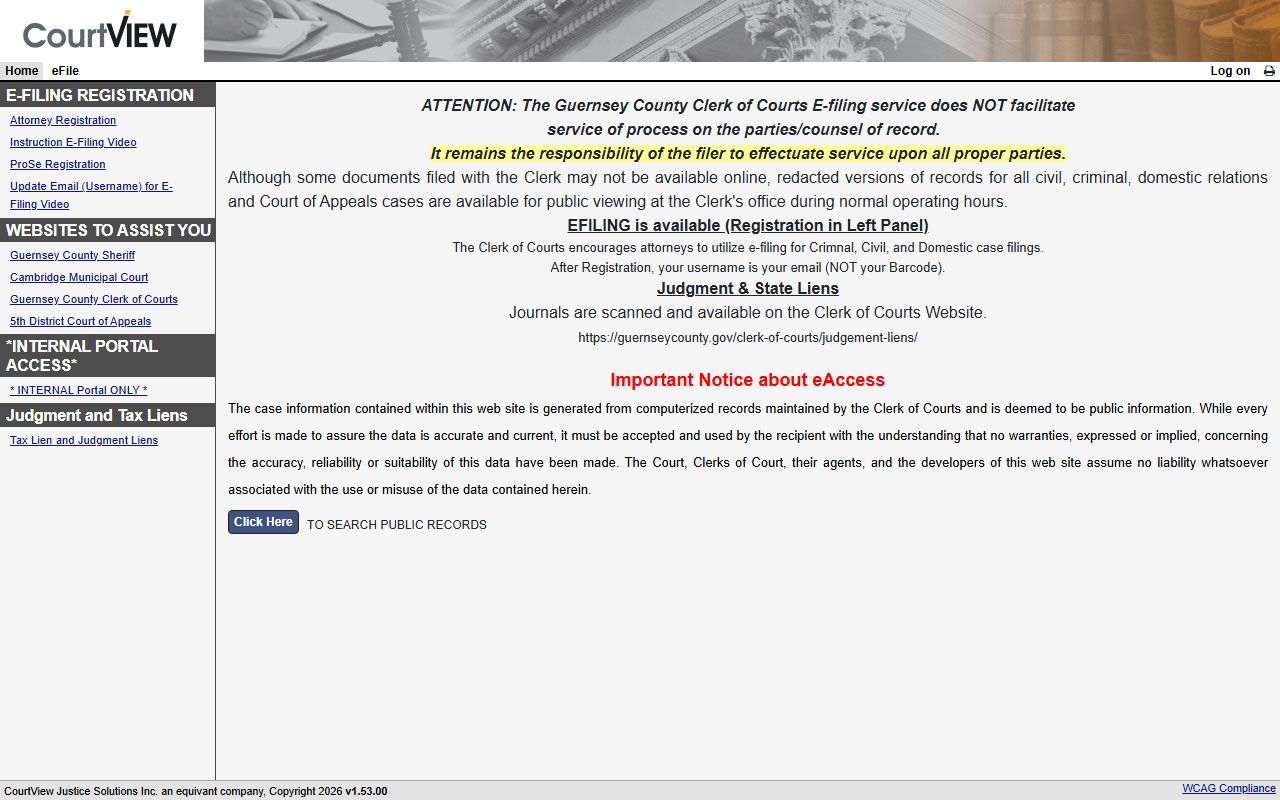 Guernsey County eServices portal for court records
