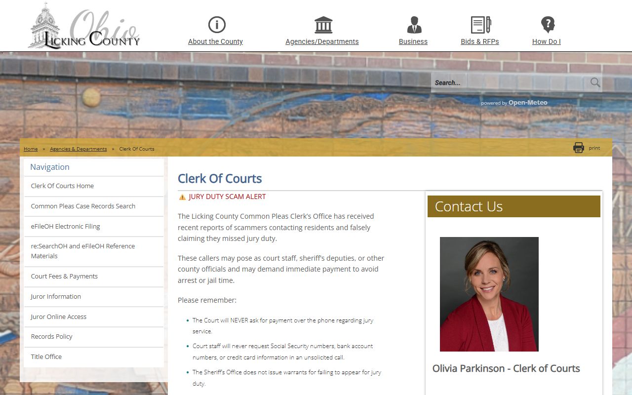 Licking County Clerk of Courts website for traffic ticket records