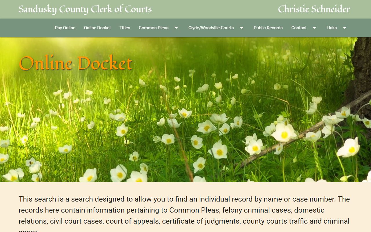 Sandusky County online docket search for traffic cases
