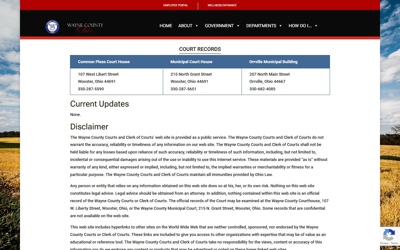 Wayne County court records search for traffic tickets